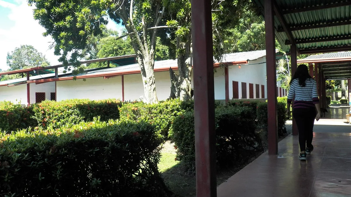 Nota mínima para aprobar en el colegio: 65 o 70, qué es quedar aplazado y qué pasa después