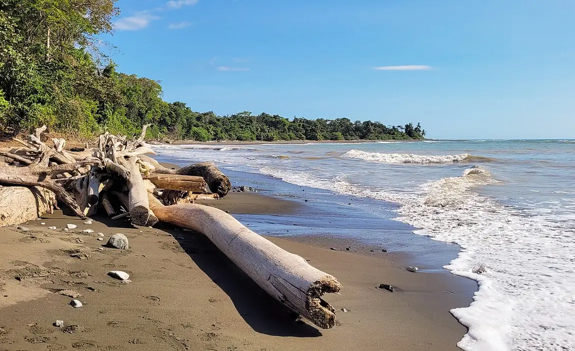 Playa del Parque Nacional Corcovado, en la península de Osa. En un texto sobre este parque, los jaguares o las dantas son datos de apoyo; la idea fundamental es la que todos sostienen: su biodiversidad excepcional. Imagen de Wikimedia Commons, Bernard Gagnon, CC0.