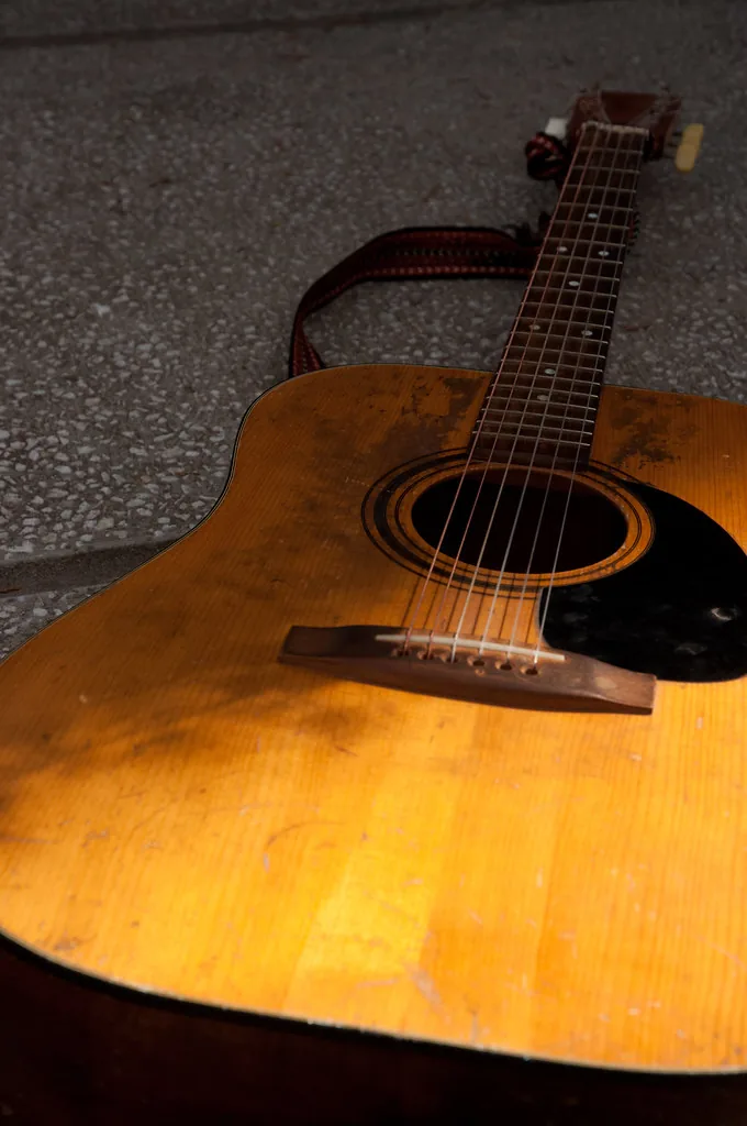 Las cuerdas de una guitarra acústica. Cuando una cuerda vibra empuja el aire que tiene alrededor, y ese empujón se contagia de partícula en partícula hasta el oído: así es como el sonido de un instrumento llega a viajar por el aire. Fotografía de Flickr, Horia Varlan, licencia BY.
