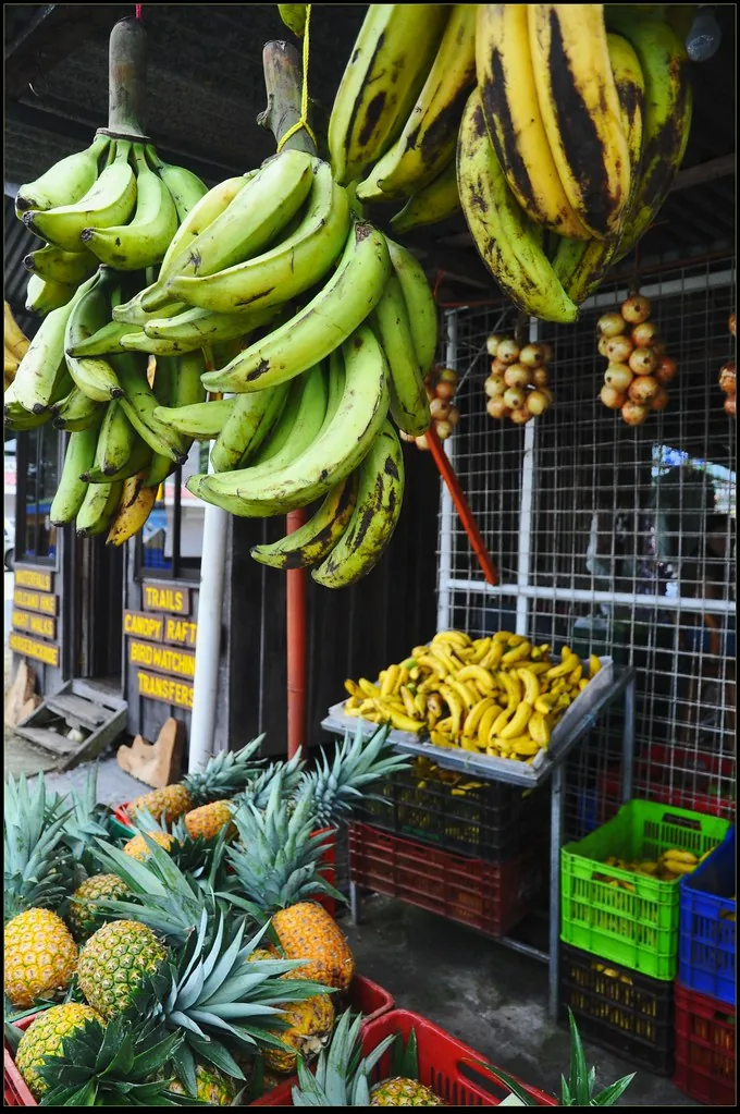 Un puesto de frutas en La Fortuna, Costa Rica, con bananos, plátanos y piñas. Comer fruta y verdura todos los días es el hábito que más ayuda al sistema digestivo: la fibra hace que el intestino trabaje parejo. Fotografía de Flickr, gsloan, licencia BY.