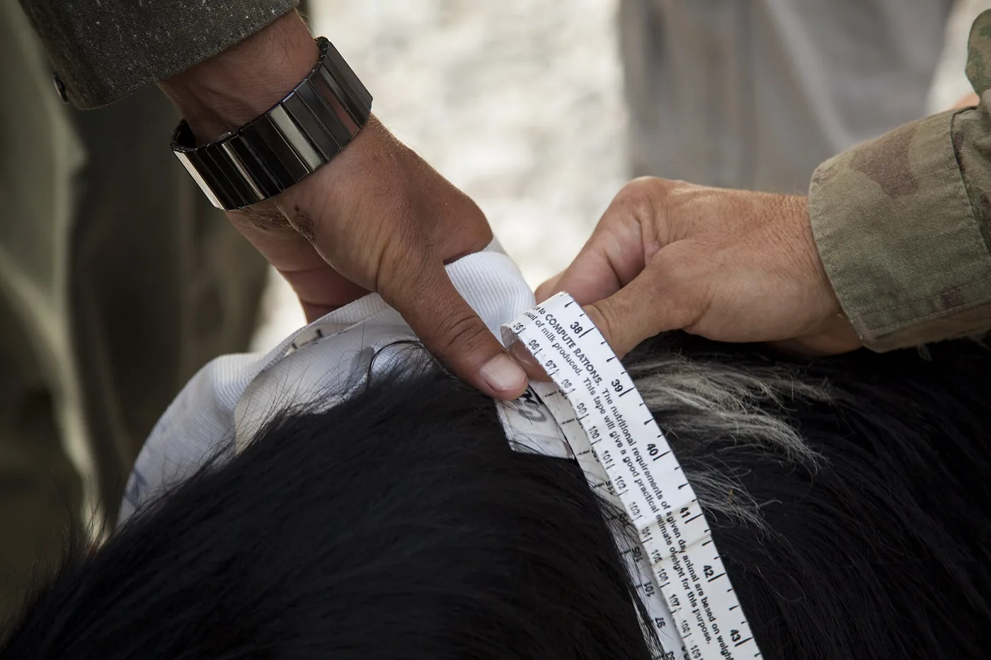 Midiendo con una cinta métrica. La cuarta de la mano sirve para estimar, pero para decir la medida en centímetros hay que usar el instrumento. Foto: Cpl Kowshon Ye, Wikimedia Commons, Public domain.
