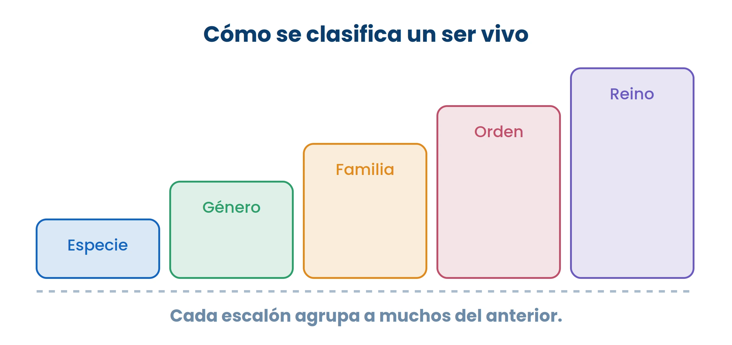 De abajo hacia arriba, cada escalón mete más seres vivos y se parecen menos entre sí.