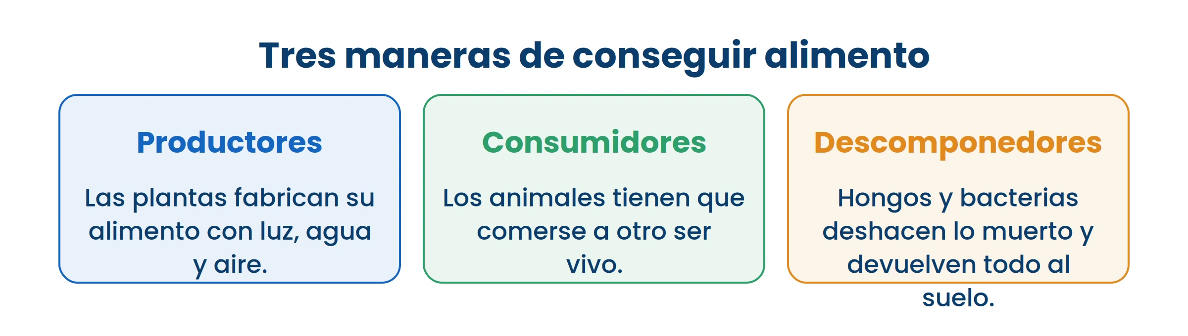 Sin los descomponedores, todo lo muerto se quedaría ahí y el suelo se quedaría sin nutrientes.