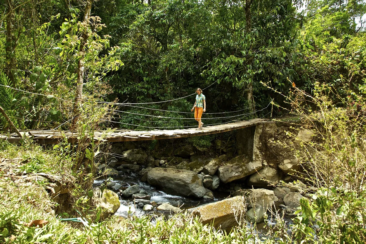 Puente de tablones colgado de cables sobre una quebrada, en Chirripó, Costa Rica. En un texto sobre un paso así, cada detalle —los tablones, los cables, quién lo revisa— es una idea suelta que sostiene a otra. La fundamental es la que las abraza a todas y casi nunca está escrita: la gente lo cruza igual porque no tiene otro paso. Imagen de Wikimedia Commons, Vytautas Šėrys, CC BY 2.0.