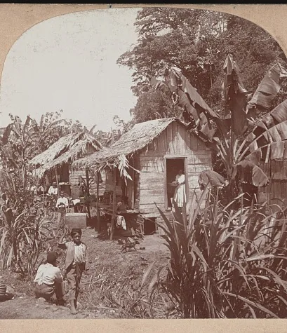 Ranchos de tabla con techo de paja, dentro de un bananal de Costa Rica, hacia 1903. Es el mundo que pone en escena buena parte de las obras que la lección enumera, y por eso el fragmento del examen suele estar situado ahí. Fotografía de la Biblioteca del Congreso de Estados Unidos, dominio público.