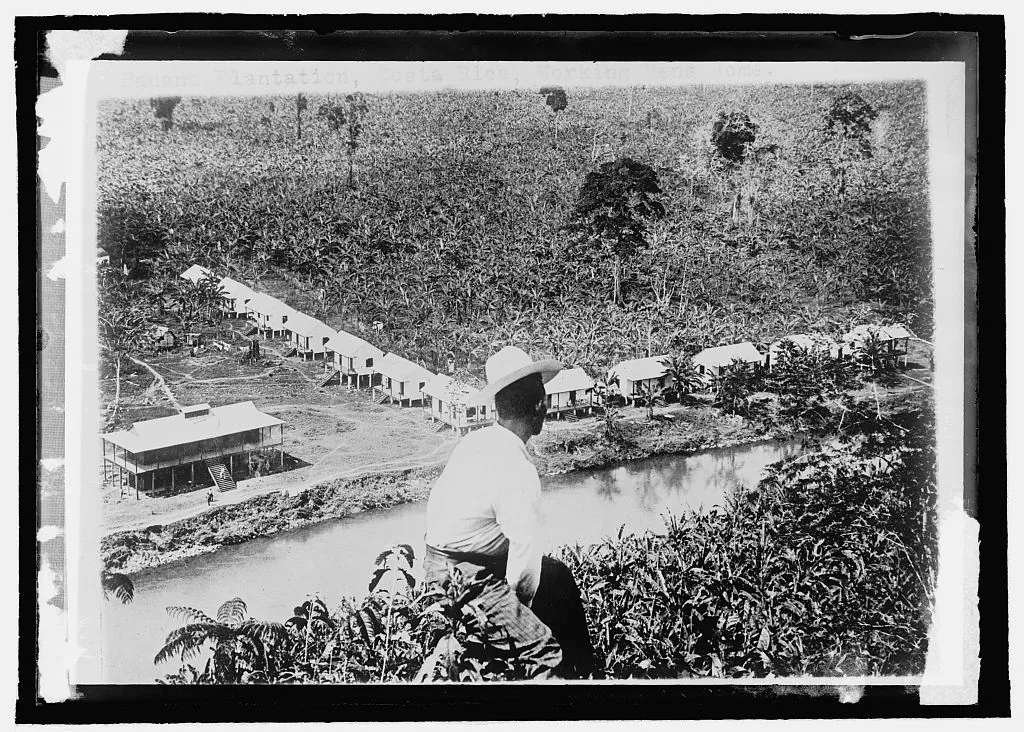 Vivienda de trabajadores en una plantación bananera de Costa Rica, 1908. Muchos llegaron de Jamaica para construir el ferrocarril al Atlántico y se quedaron para las bananeras: así se formaron las comunidades afrodescendientes que hoy viven en Limón. Fotografía de la Biblioteca del Congreso de EE. UU., dominio público.