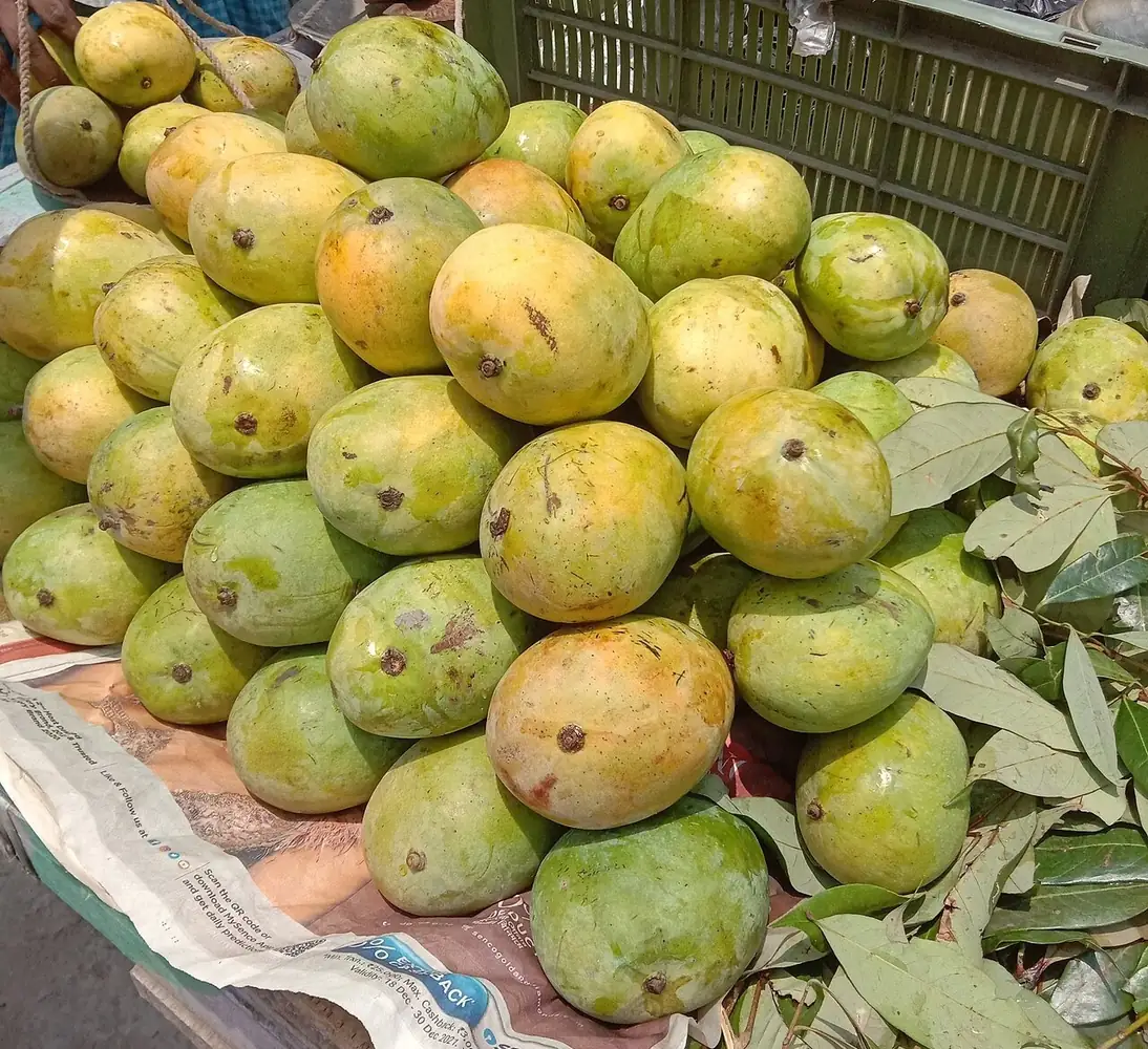 Mangos en un puesto del mercado. Si te gustan, se dice I like mangoes; si no, I don't like mangoes. Foto: Billjones94, Wikimedia Commons, CC BY-SA 4.0 (recortada).
