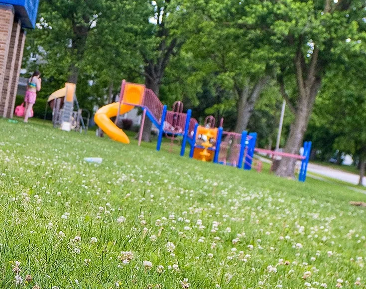El play de una escuela, con tobogán, pasamanos y zacate para correr. Aquí, en el recreo, es donde más se usa Let's play!, la invitación a jugar juntos. Foto: David Morris, Wikimedia Commons, CC BY 2.0 (recortada).