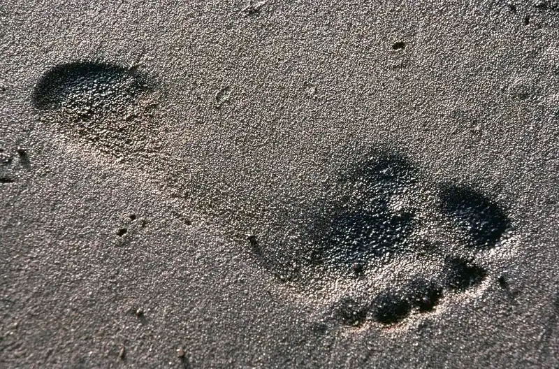 La huella de un pie en la arena: se ven el talón y los cinco dedos. En inglés el pie es foot, los dos pies son feet y los dedos del pie son toes. Foto: autor desconocido, Wikimedia Commons, dominio público.