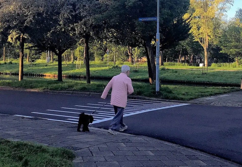 Una señora pasea a su perrito por la acera de un parque. Las mascotas viven con la familia y necesitan salir a caminar todos los días. Foto: Amin, Wikimedia Commons, CC BY-SA 4.0.