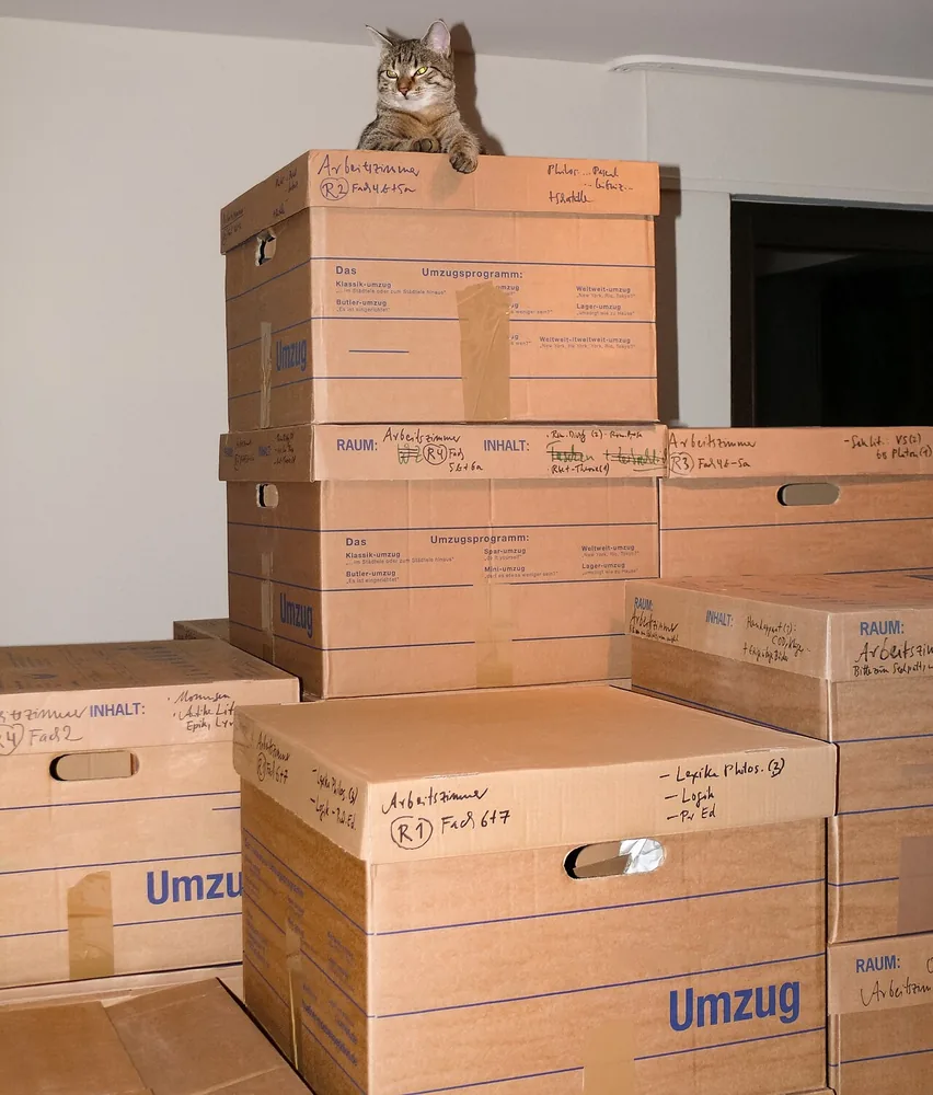 Cajas de cartón apiladas para una mudanza. Para cargarlas se pide ayuda: Can you help me, please? Foto: Roman Eisele, Wikimedia Commons, CC BY-SA 4.0 (recortada).