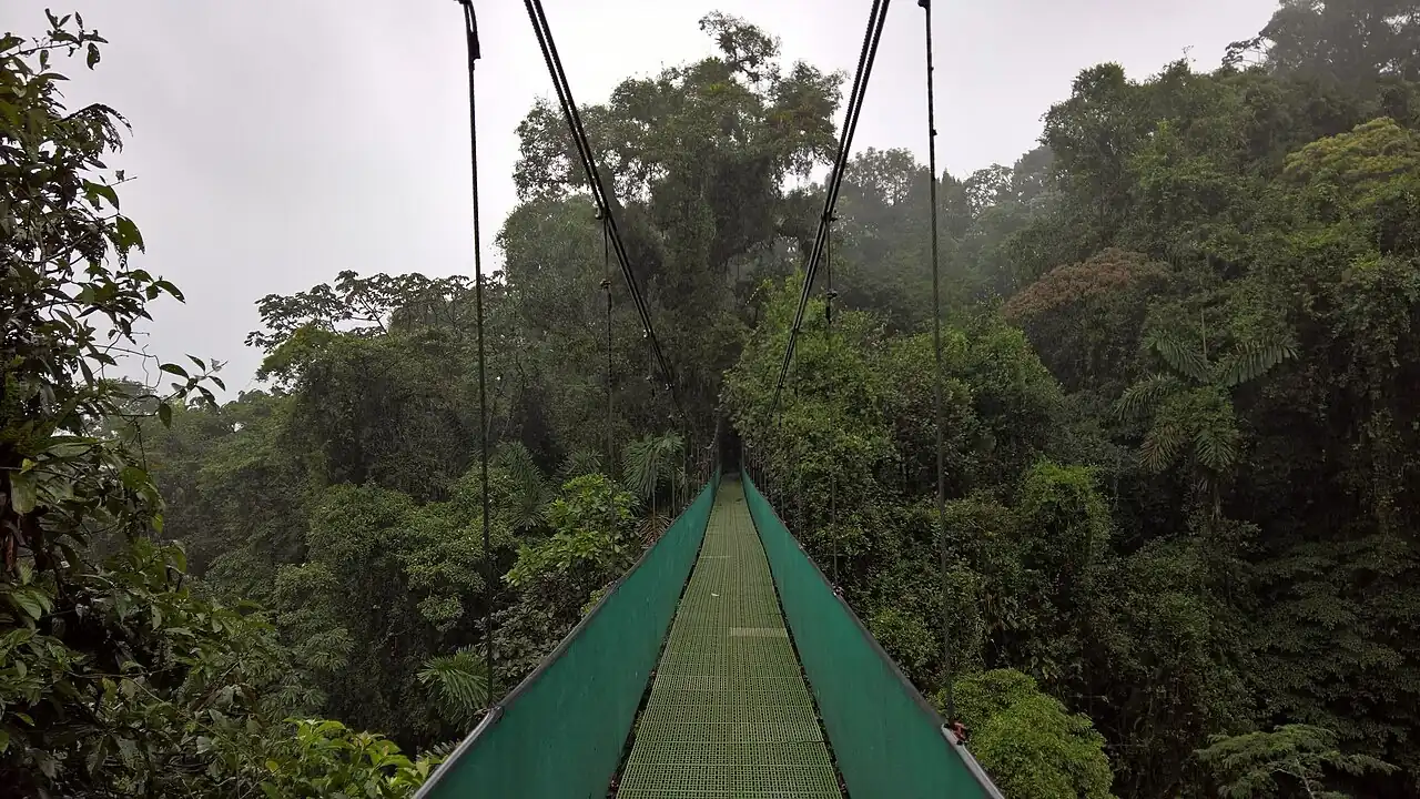 Un puente colgante en el bosque cerca de La Fortuna. Los parques tienen trails, senderos, y a veces puentes como este. Foto: Alanthebox, Wikimedia Commons, CC0.