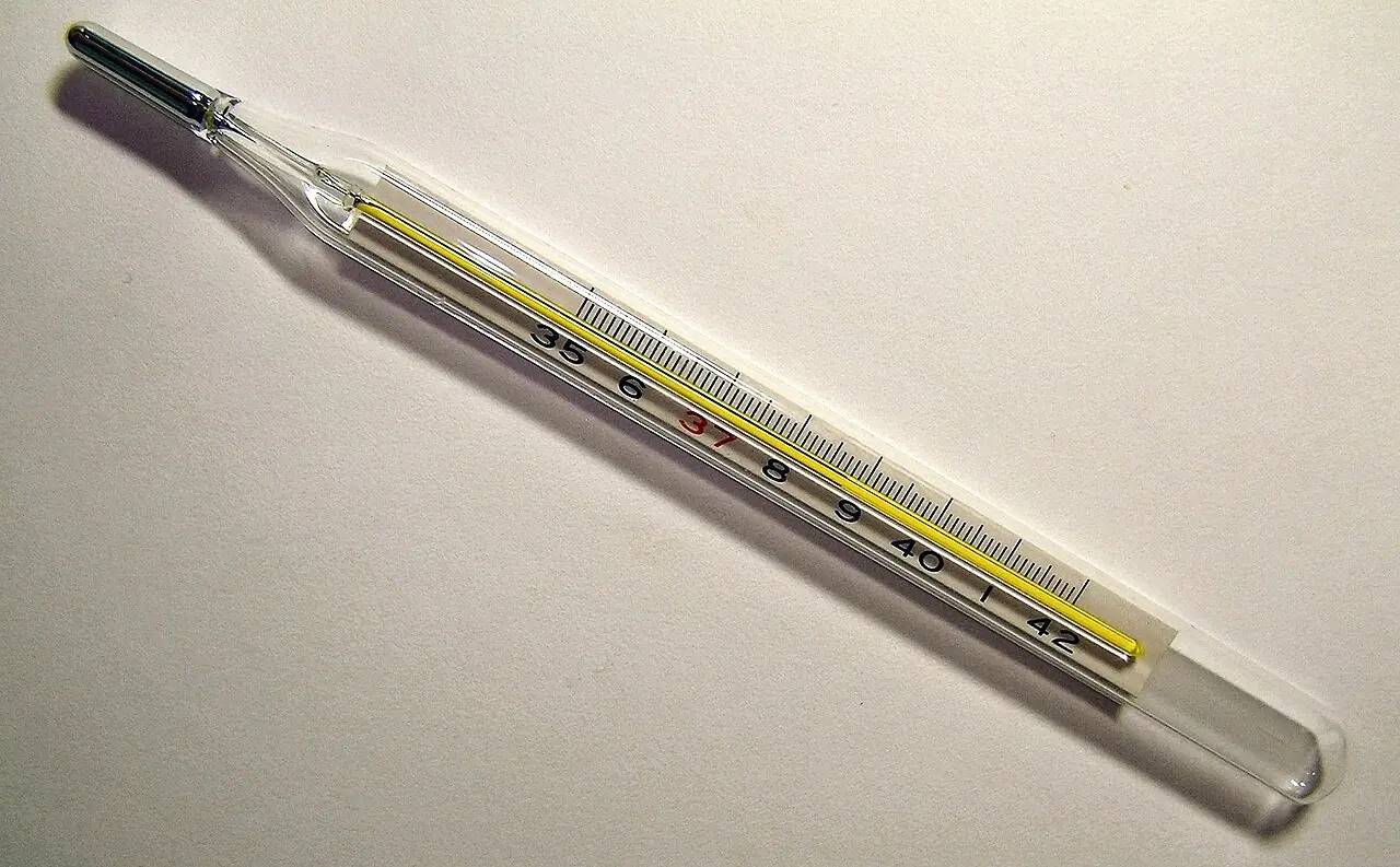 Un termómetro que marca un poco más de 38 grados: eso es fiebre, fever. Foto: Menchi, Wikimedia Commons, CC BY-SA 3.0.