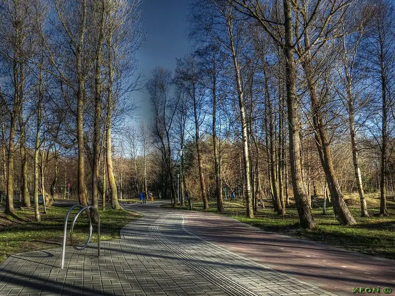 Una ciclovía en un parque. I'm going to ride my bike every afternoon. Foto: XEON, Wikimedia Commons, CC BY 3.0.
