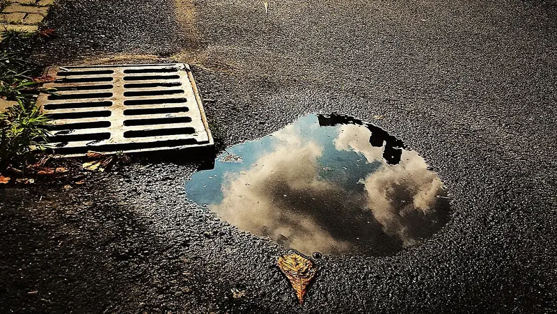 Un charco junto al desagüe de la calle, the storm drain. From the drain, the litter goes to the river and then to the sea. Foto: Tarasna0922, Wikimedia Commons, CC BY-SA 4.0.