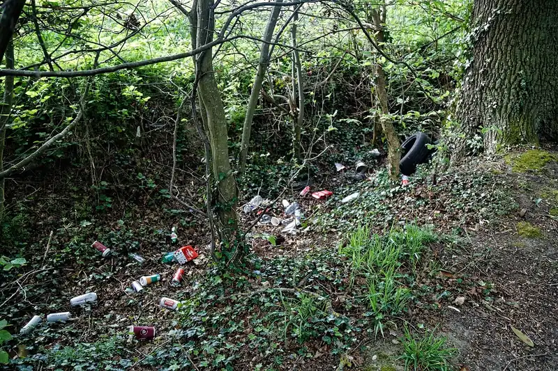Latas y botellas tiradas entre las plantas de un bosque. It looks ugly, and it hurts the animals. Foto: Acabashi, Wikimedia Commons, CC BY-SA 4.0.