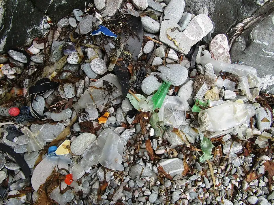 Pedazos de botellas y bolsas plásticas entre las piedras de una playa. Plastic is not biodegradable. Foto: Partonez, Wikimedia Commons, CC BY-SA 4.0.