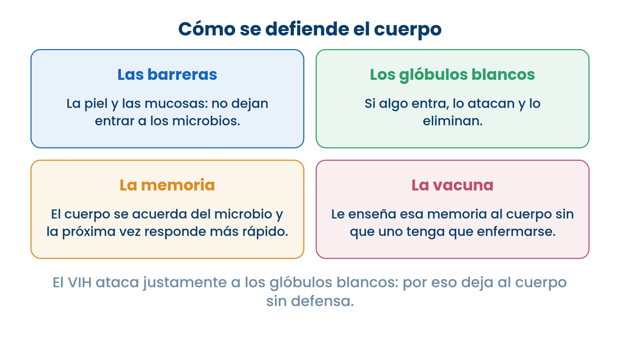 La vacuna no es el microbio: es la lección. Le enseña al cuerpo a reconocerlo sin que uno se enferme.