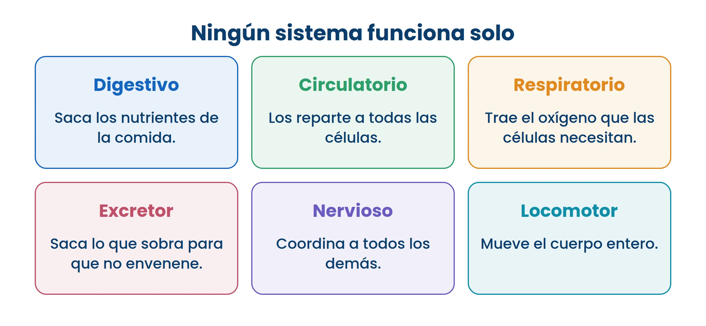 Tapá uno cualquiera con el dedo y pensá qué pasa con los otros cinco. Ninguno aguanta solo.
