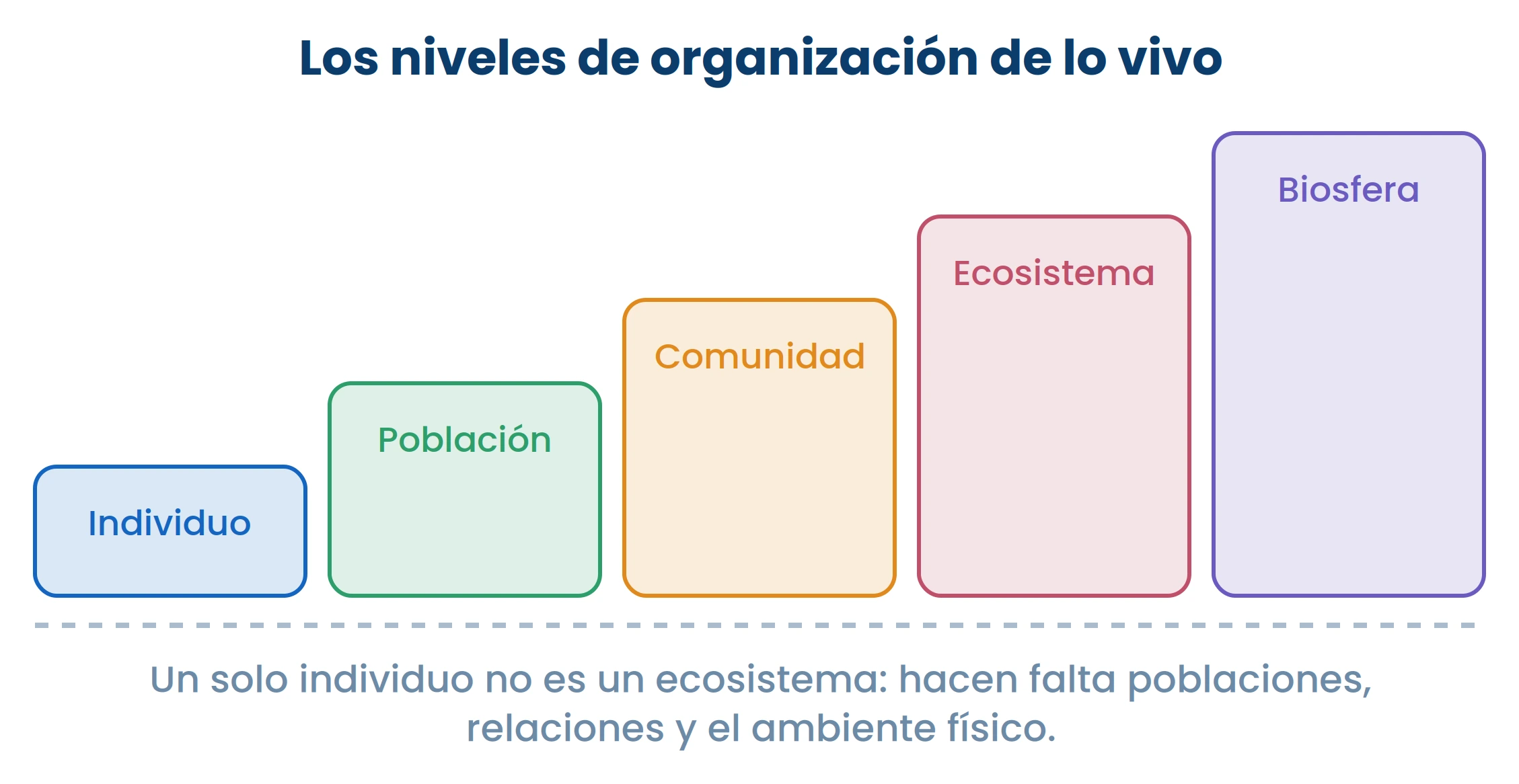 Un solo individuo no es un ecosistema. Hacen falta poblaciones, relaciones y el ambiente físico.