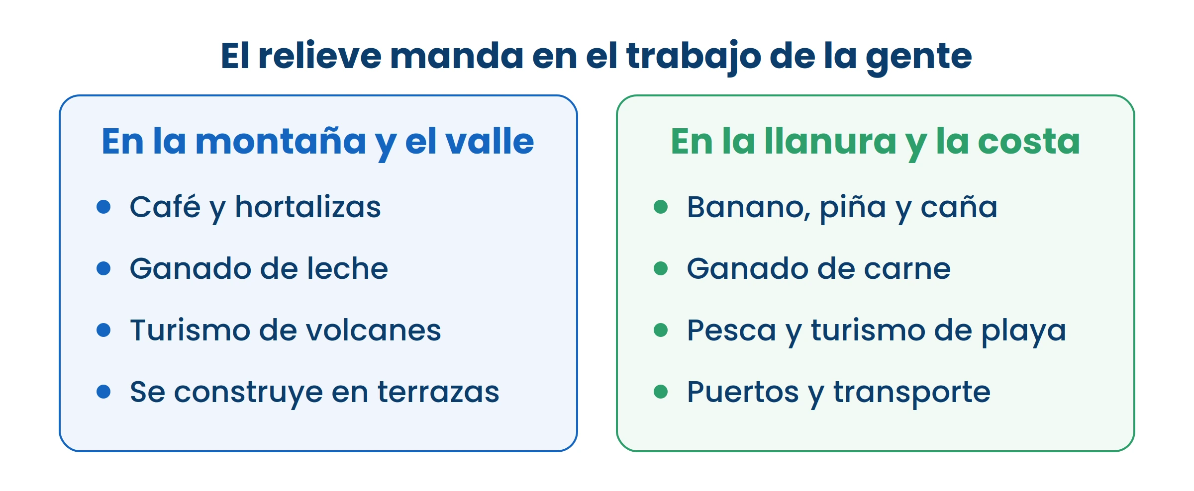 No es casualidad: el café necesita altura y el banano necesita llanura caliente.