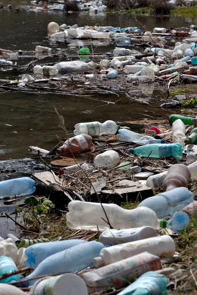 Contá cuántas botellas ves. Ninguna llegó sola al río: cada una la botó alguien en otra parte y el agua la trajo hasta aquí. Imagen de flickr, Horia Varlan, CC BY.