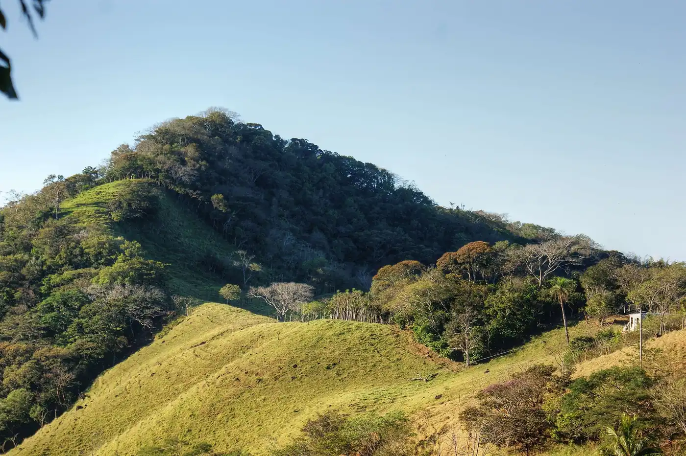 Cerros y laderas cerca de Miramar, en Puntarenas: el potrero abajo, la loma en el medio y el bosque arriba. En una sola vista se ven un valle, una ladera y una cima, que son las formas del relieve que pide el temario. Foto: Julián Monge-Nájera, Wikimedia Commons, CC BY-SA 3.0