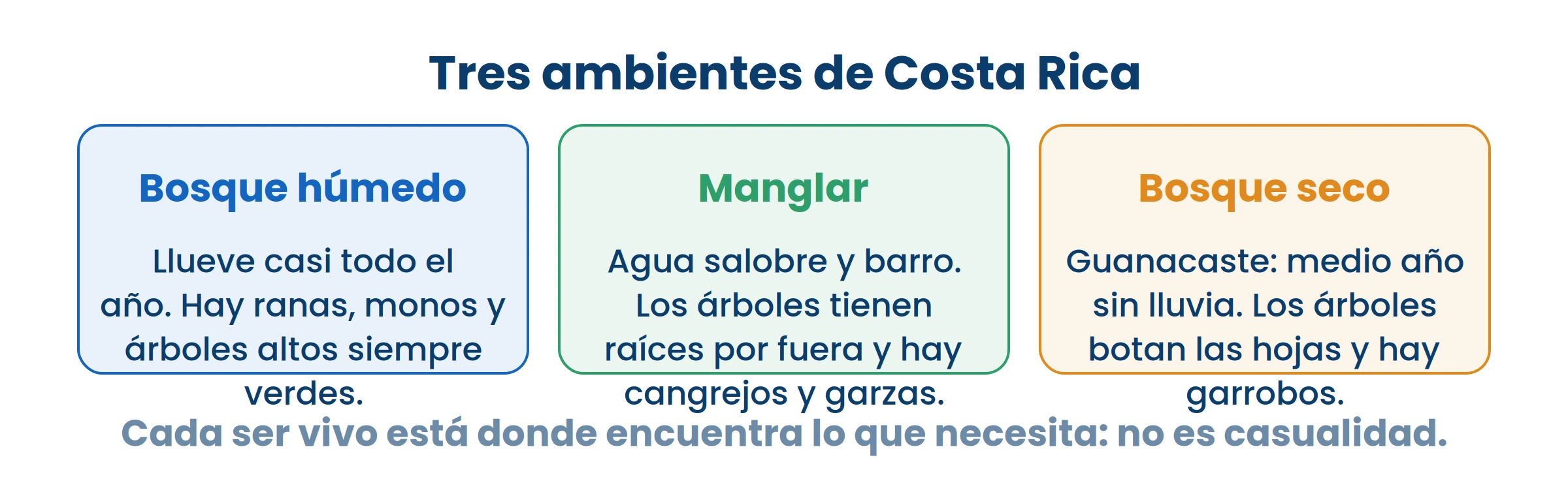 El garrobo no vive en el manglar ni el cangrejo en el bosque seco. Cada uno está donde encuentra lo que necesita.